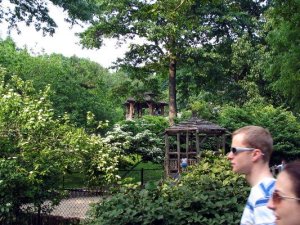 Central park NYC 17.JPG